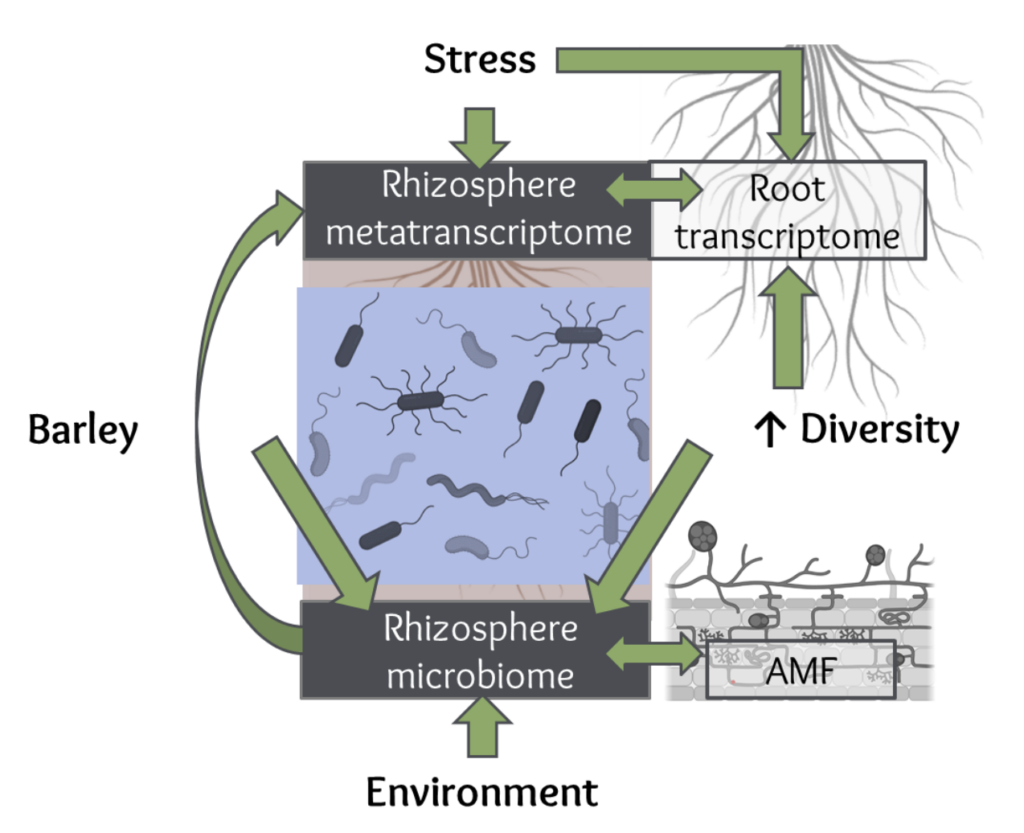 Exploration of soil microbiota diversity